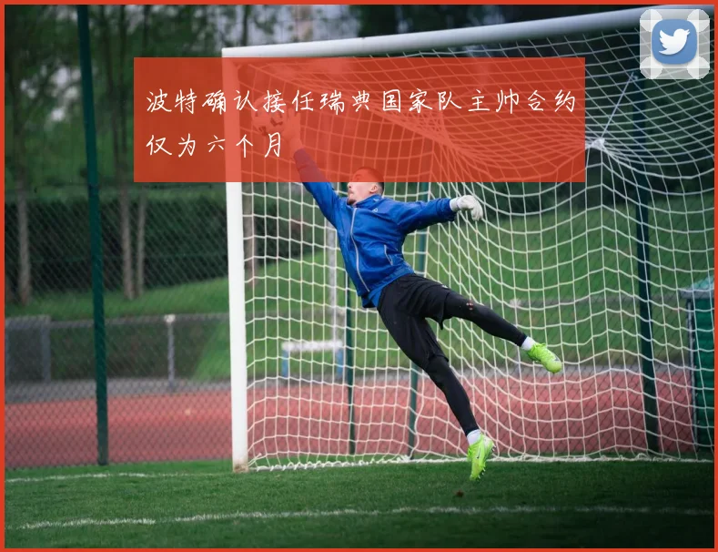 波特确认接任瑞典国家队主帅合约仅为六个月