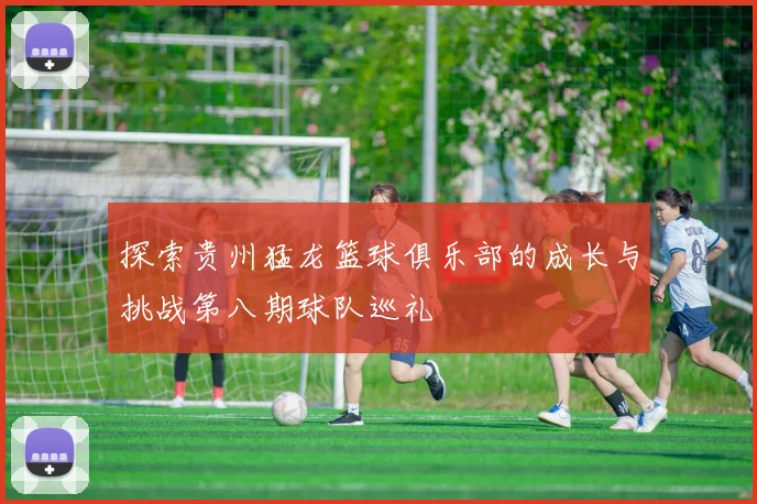 探索贵州猛龙篮球俱乐部的成长与挑战第八期球队巡礼