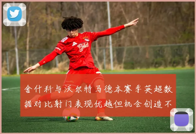 舍什科与沃尔特马德本赛季英超数据对比射门表现优越但机会创造不足
