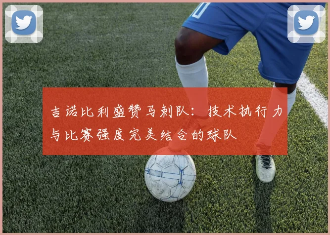 吉诺比利盛赞马刺队：技术执行力与比赛强度完美结合的球队